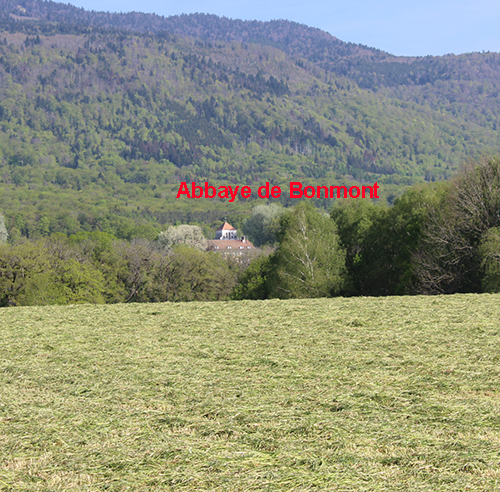 abbaye de bonmont 6 mai 2023