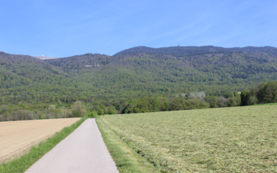 Etape 2 : Tranchepied – St-Cergue :14.05 km