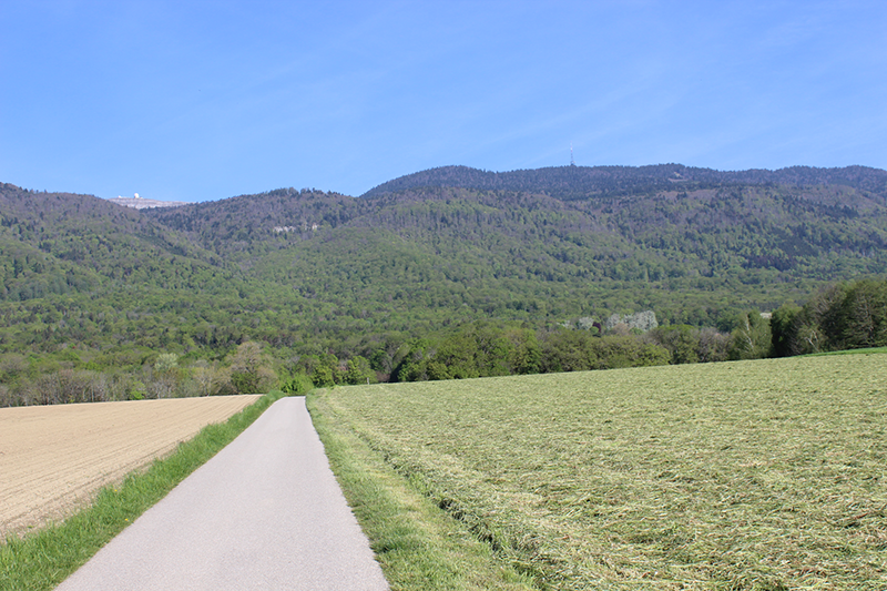 Etape 2 : Tranchepied – St-Cergue :14.05 km