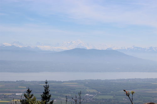 etape 2 image 3