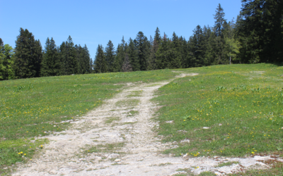 Etape 3 : St-Cergue – Col du Marchairuz :18.27 km