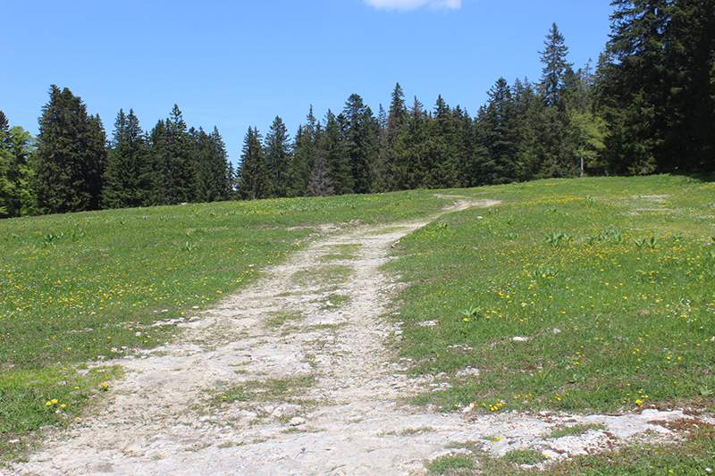 Etape 3 : St-Cergue – Col du Marchairuz :18.27 km