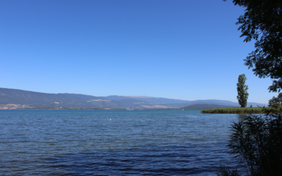 Etape 9 : La Sauge – Avenches Plage : 13.92 km